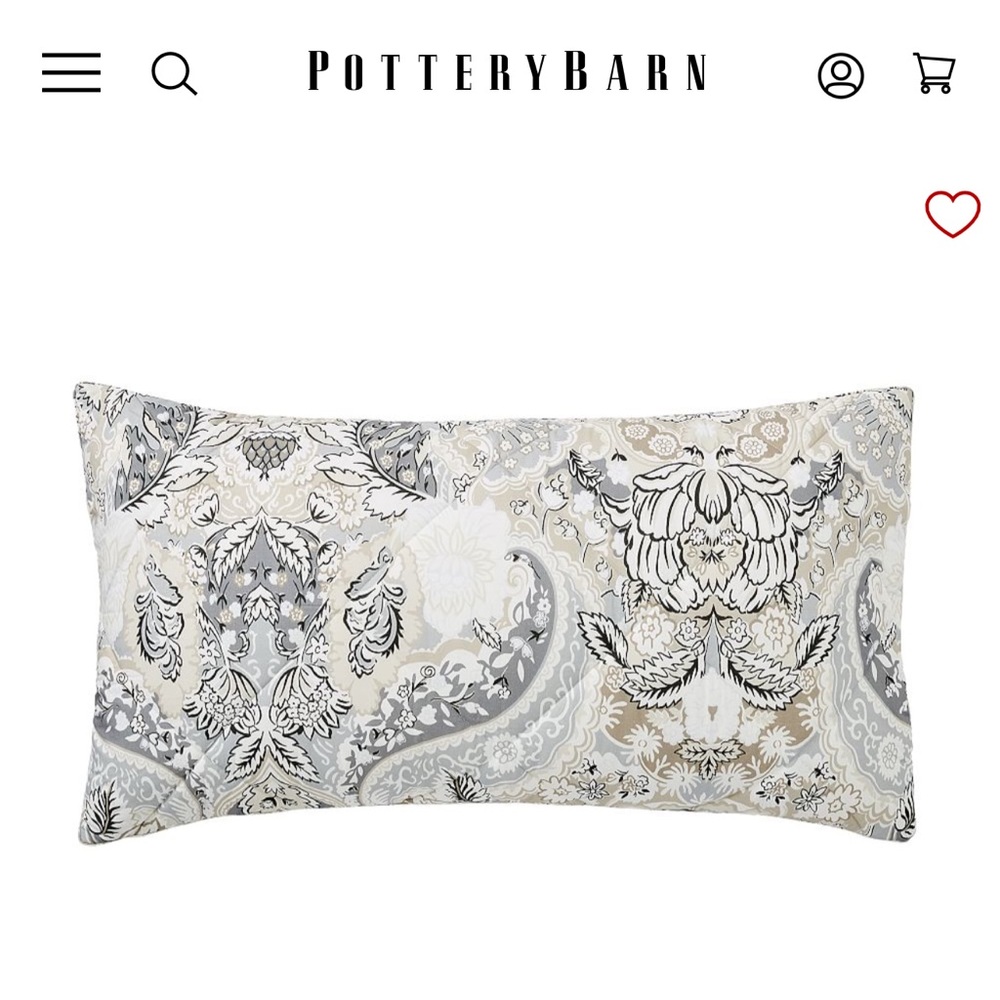 POTTERY BARN 2 KING SHAMS. 20”x36”. Insert pillow not included.